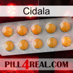 Cidala levitra1